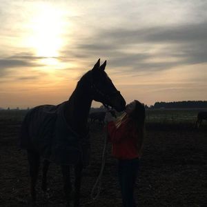 Meet your Posher, D'or